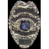 STOCKTON, CA POLICE DEPARMENT BADGE PIN